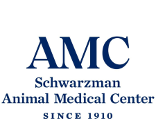 Veterinary Surgical Oncology: 9781119089056: Medicine